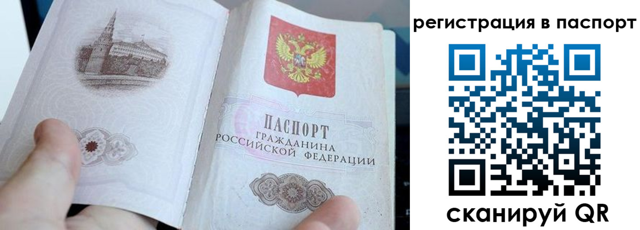 пропишу в квартире в Светогорске
